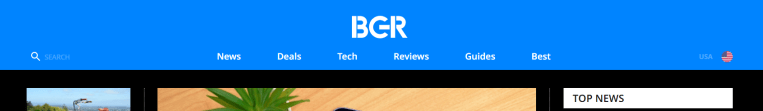 A screenshot of the BGR homepage, taken with the snipping tool